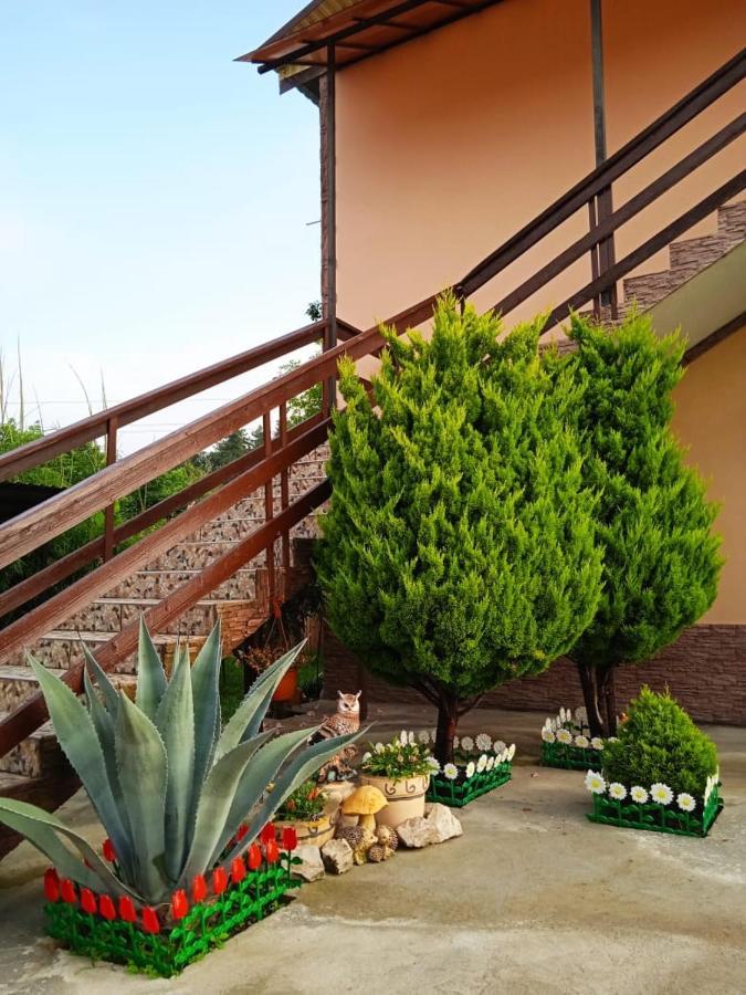 Изабелла Hotel Pizunda Luaran gambar